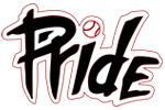 NJ Pride Softball
